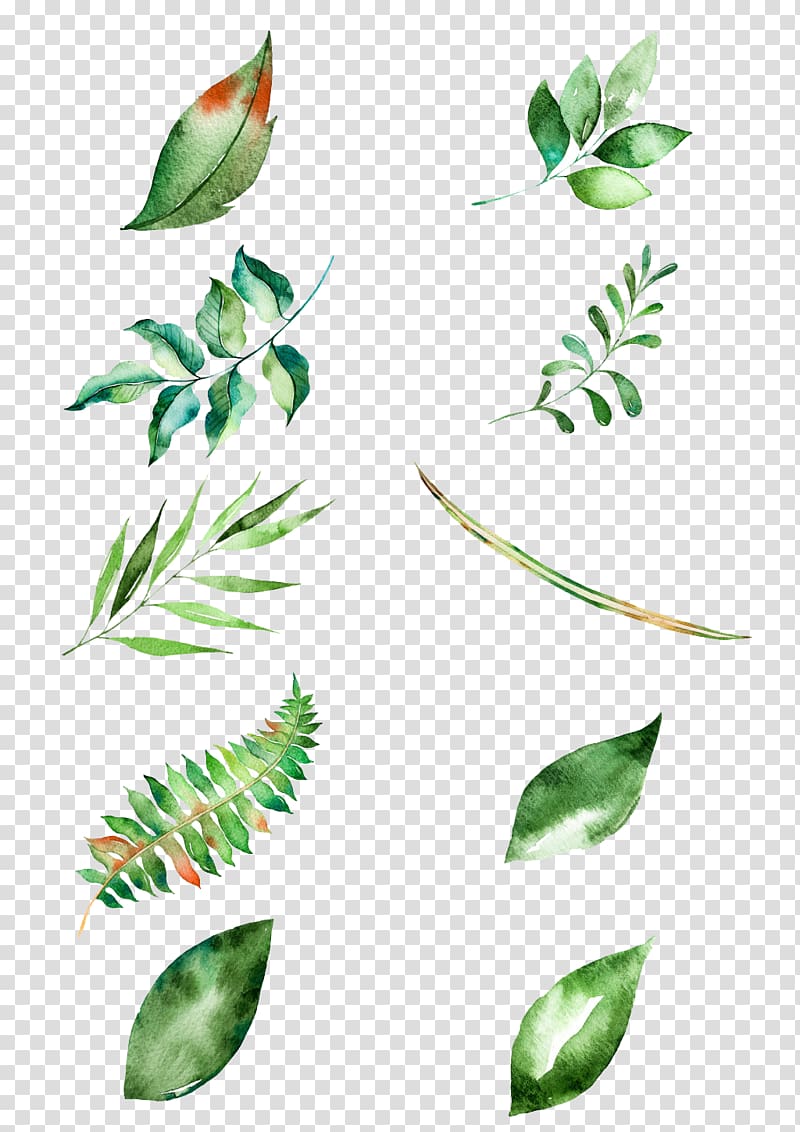 assorted leaves painting, Leaf Watercolor painting, leaf transparent background PNG clipart