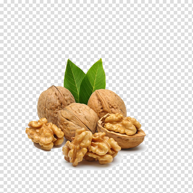 bunch of wallnut, Walnut , walnut transparent background PNG clipart