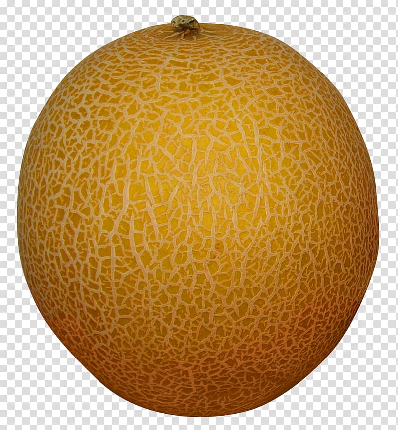 Melon transparent background PNG clipart