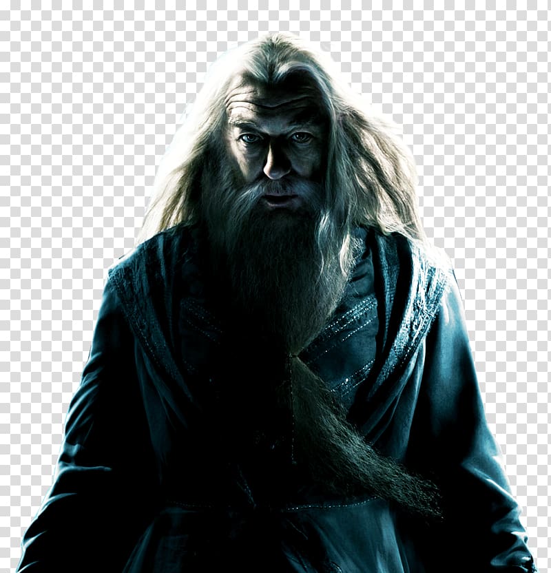 Gandalf The Grey, Lord Voldemort Harry Potter and the Half-Blood Prince Albus Dumbledore Film, Harry Potter transparent background PNG clipart