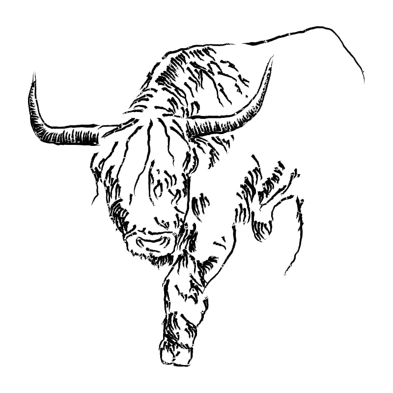 Cattle Taurus Drawing Bull , Taurus transparent background PNG clipart