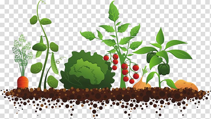 Garden club Community gardening Master gardener program, others transparent background PNG clipart