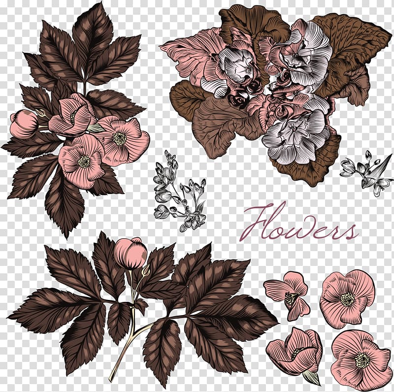Euclidean Flower , vintage flowers transparent background PNG clipart