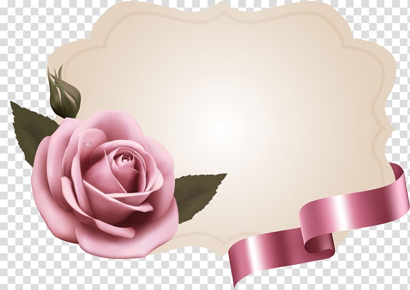 Garden roses Pink Paper Flower, frames transparent background PNG clipart