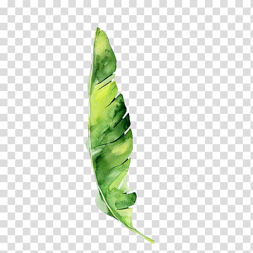 Shared resource Leaf Flower Vegetable Multiplication, others transparent background PNG clipart