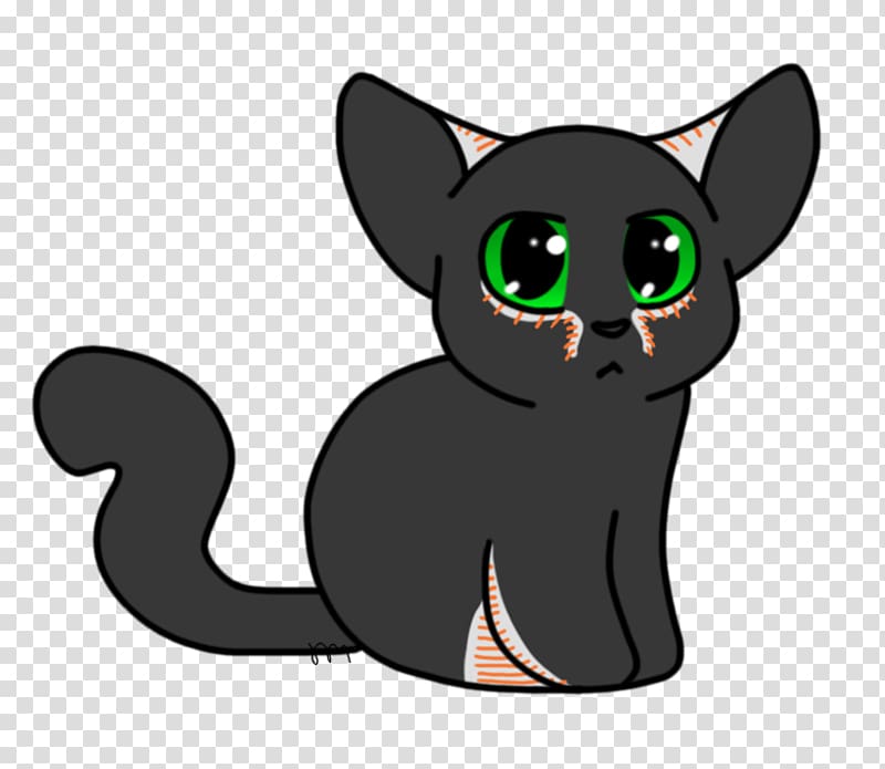 Korat Whiskers Kitten Domestic short-haired cat Black cat, beautify the soul with civilization transparent background PNG clipart