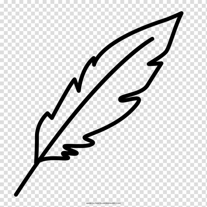 Drawing Coloring book Painting Feather, painting transparent background PNG clipart
