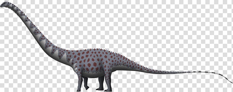 Supersaurus Apatosaurus Barosaurus Dinheirosaurus Dinosaur, jurassic animals transparent background PNG clipart