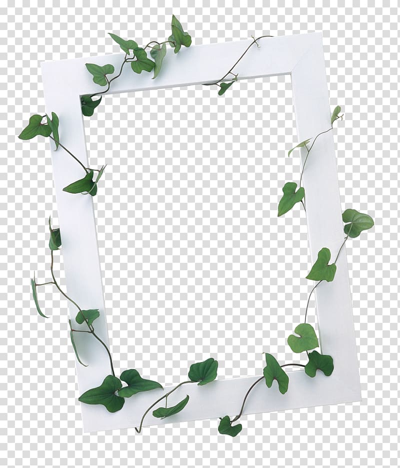 Frames Wedding invitation, green frame transparent background PNG clipart
