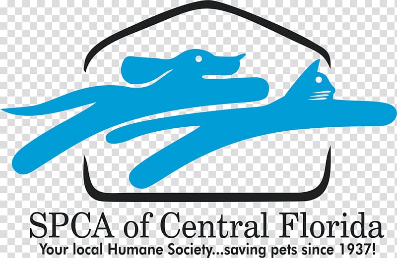 Society for the Prevention of Cruelty to Animals Florida Cat Pet Humane society, Cat transparent background PNG clipart