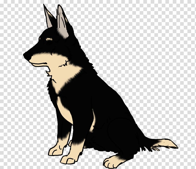 Lapponian Herder Dog breed , Angry Dog transparent background PNG clipart
