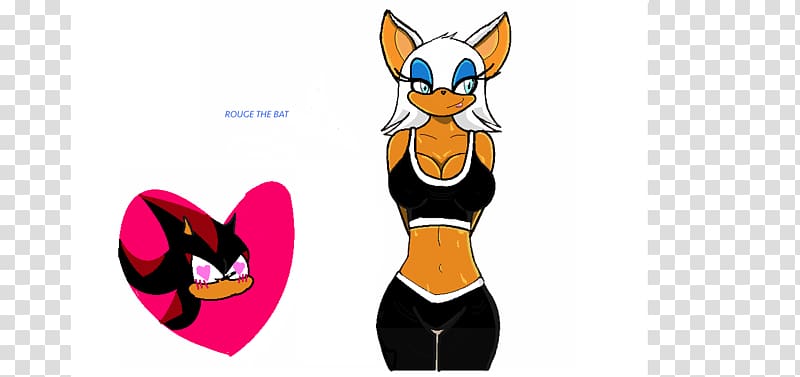 rouge the bat sonic riders