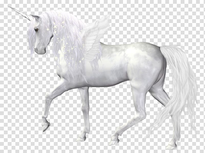 The Black Unicorn Horse , Fantasy Angel Unicorn , white unicorn transparent background PNG clipart