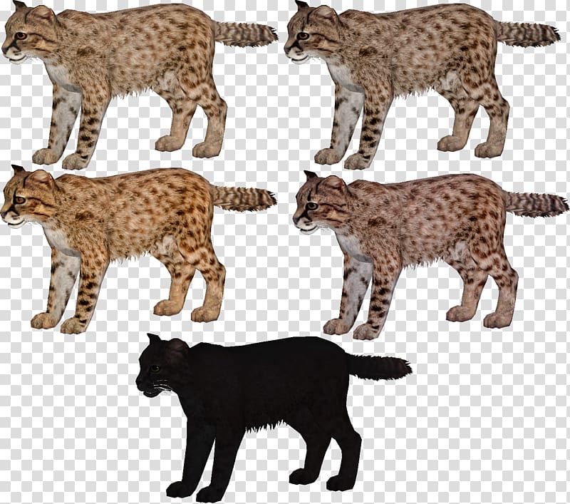 Cat Zoo Tycoon 2: Marine Mania Cheetah Ocelot Leopard, Zoo Tycoon 2 transparent background PNG clipart