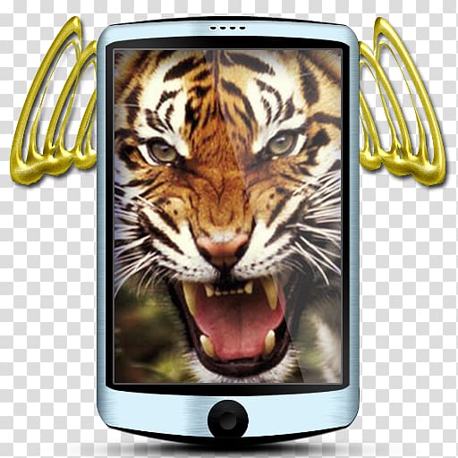 Felidae Lion Roar Takrut Big cat, metope transparent background PNG clipart