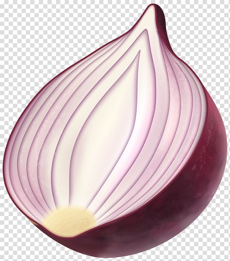 purple onion illustration, Red onion , Red Onion transparent background PNG clipart