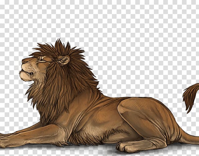 Lion Roar Mane Big cat Male, lion transparent background PNG clipart