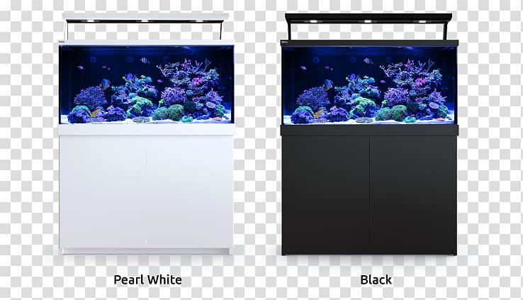 Red Sea Max S650 Reef aquarium, sea coral transparent background PNG clipart