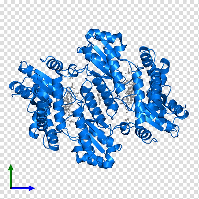 Ferrochelatase Heme B Protoporphyrin IX, mito class transparent background PNG clipart