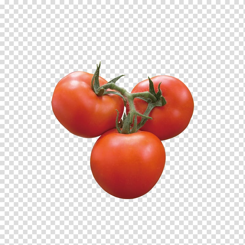 Plum tomato Vegetable, tomato transparent background PNG clipart