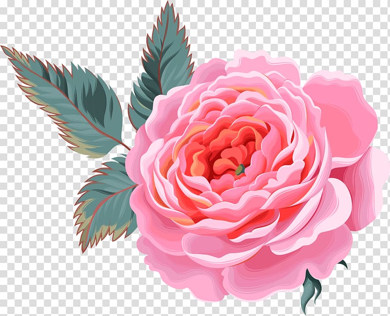 Flower decoration , pink rose transparent background PNG clipart