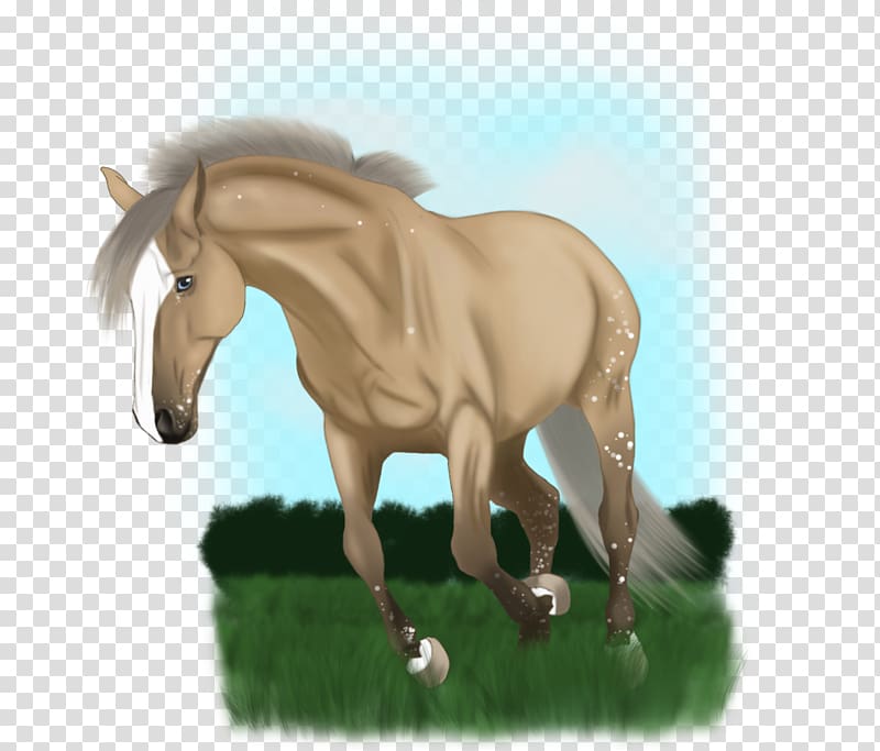 Mane Mustang Stallion Foal Mare, mustang transparent background PNG clipart