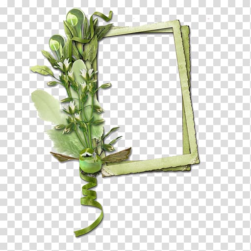 Plant stem Twig Branch, folha transparent background PNG clipart