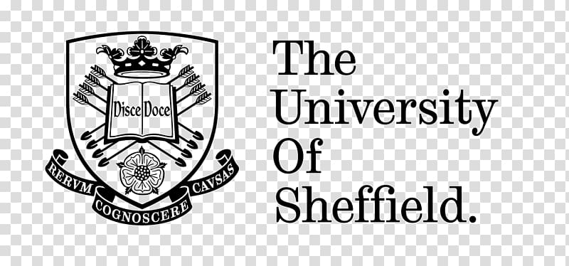 University of Sheffield Sheffield Hallam University Birmingham City University University of York, student transparent background PNG clipart