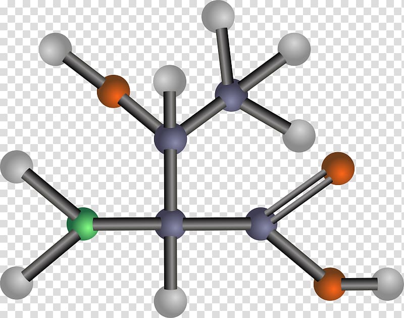 Branched-chain amino acid Isoleucine Glutamic acid, Chemical Polarity transparent background PNG clipart