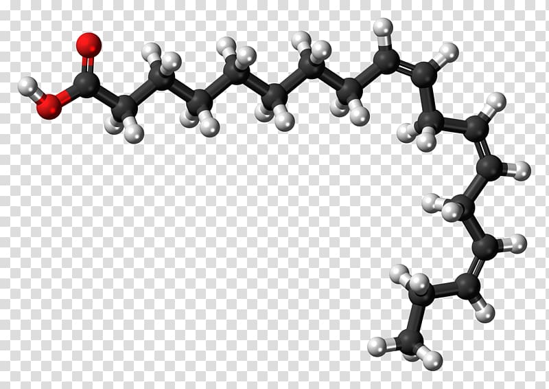 alpha-Linolenic acid Omega-3 fatty acids, dna transparent background PNG clipart