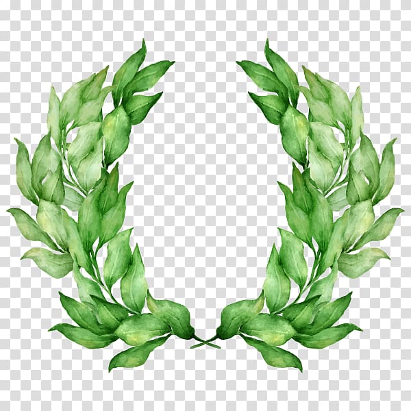 Laurel wreath Olive wreath Bay Laurel, others transparent background PNG clipart