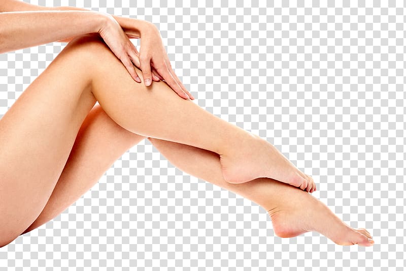 Human leg , thigh transparent background PNG clipart