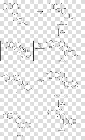 Line art Point Angle Diagram, line transparent background PNG clipart thumbnail