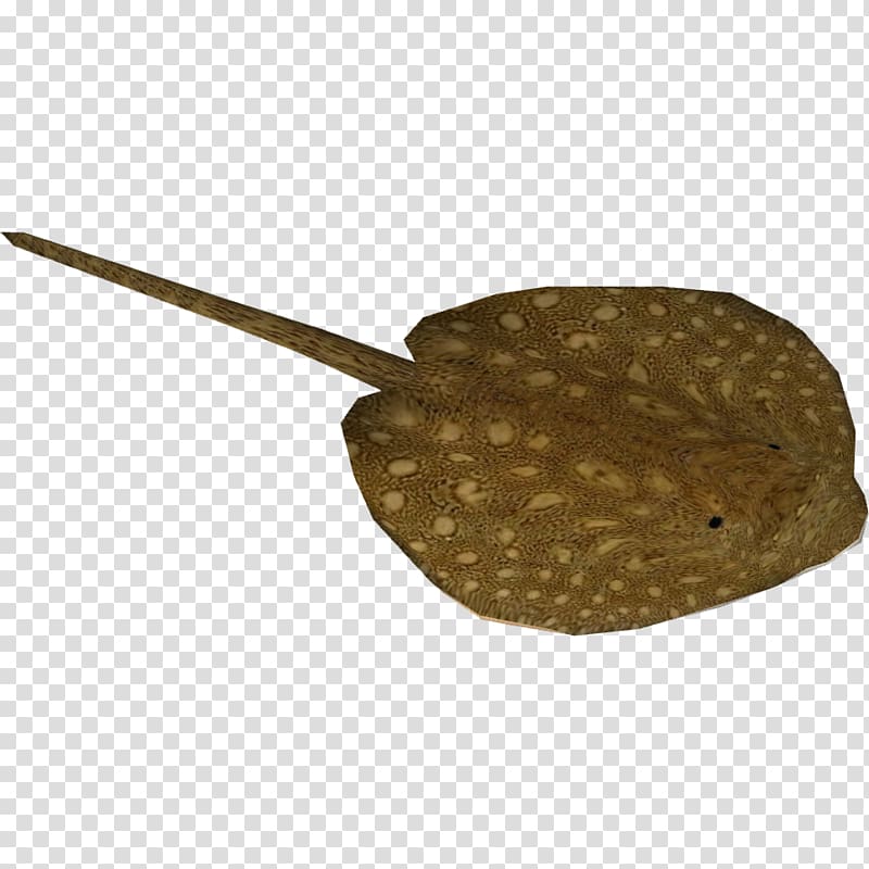 Myliobatoidei Mekong Ocellate river stingray, ray transparent background PNG clipart