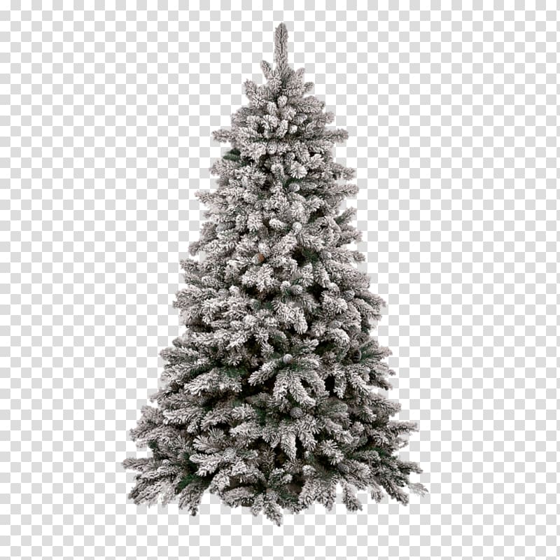 Christmas tree , Snow pine transparent background PNG clipart