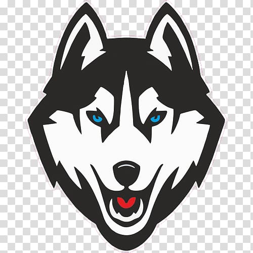 University of Connecticut Connecticut Huskies women\'s basketball Connecticut Huskies men\'s basketball Connecticut Huskies baseball Connecticut Huskies football, basketball transparent background PNG clipart