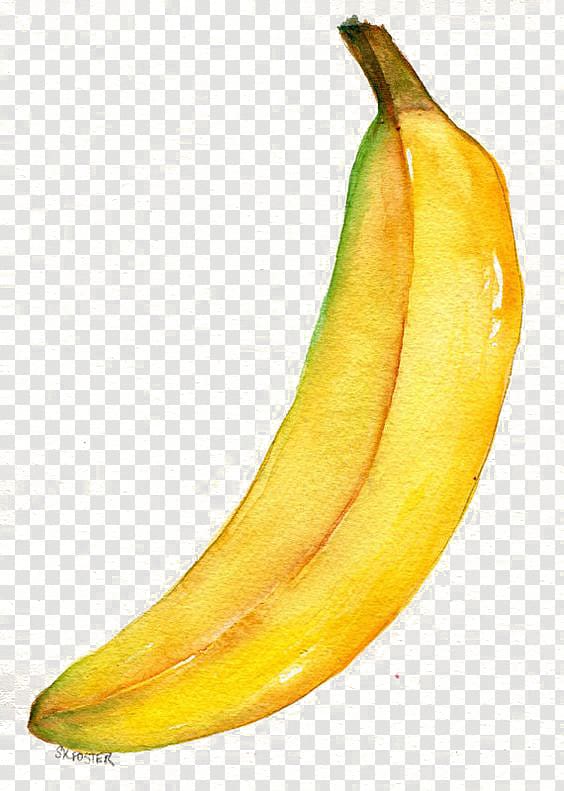 ripe banana illustration, Watercolor painting Banana Drawing Illustration, banana transparent background PNG clipart