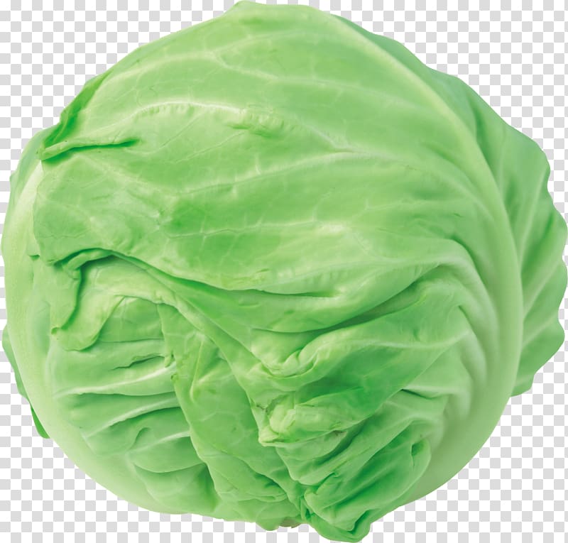 Chinese cabbage Red cabbage Napa cabbage, cabbage transparent background PNG clipart