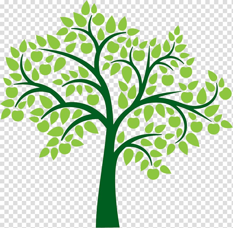 Tree , family tree transparent background PNG clipart