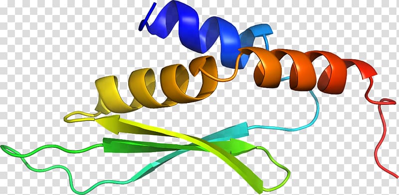 Line , design transparent background PNG clipart