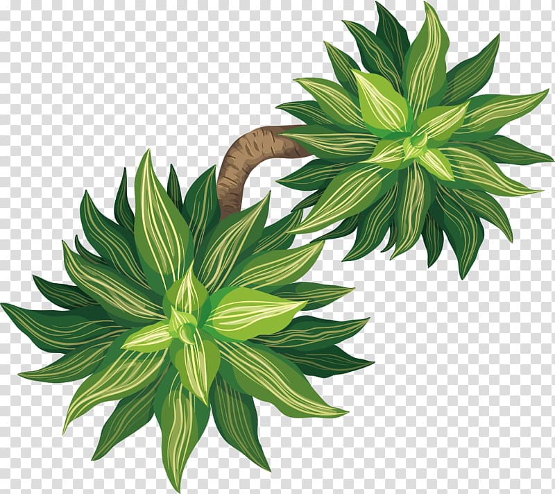 Tree Euclidean Plant Flowerpot, Fortune tree potted plants transparent background PNG clipart