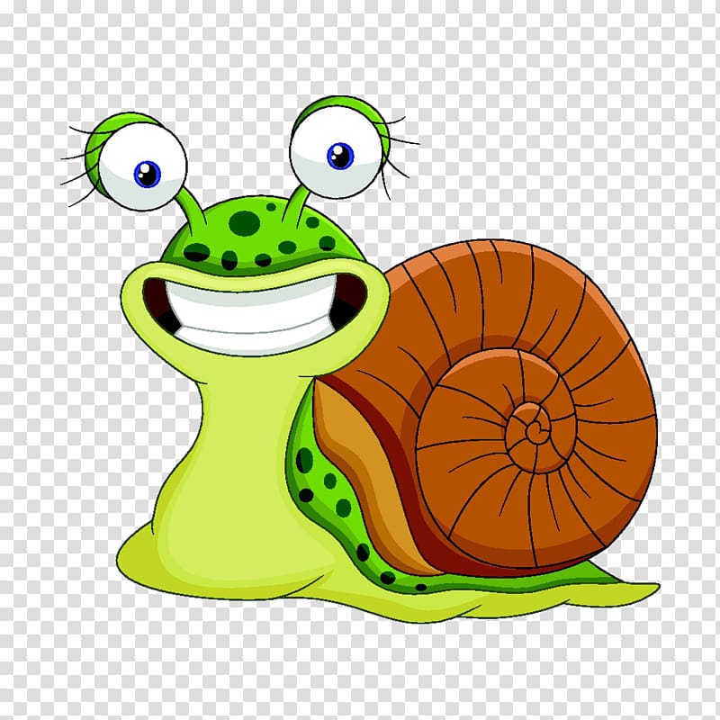 Snail illustration , snails transparent background PNG clipart