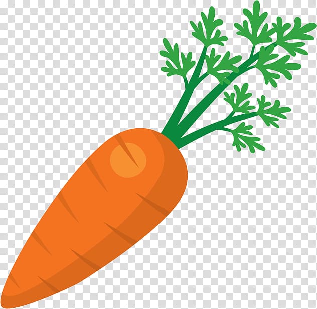 Juice Fruit salad Carrot , Carrots transparent background PNG clipart