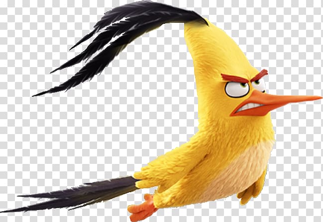 angry birds yellow bird space