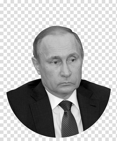 Vladimir Putin Russia Businessperson Ministry of Industry and Trade, vladimir putin transparent background PNG clipart