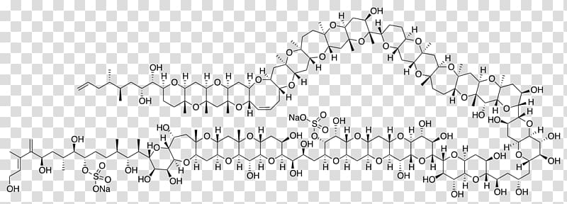 Maitotoxin Organic chemistry Molecule Chemical compound, others transparent background PNG clipart