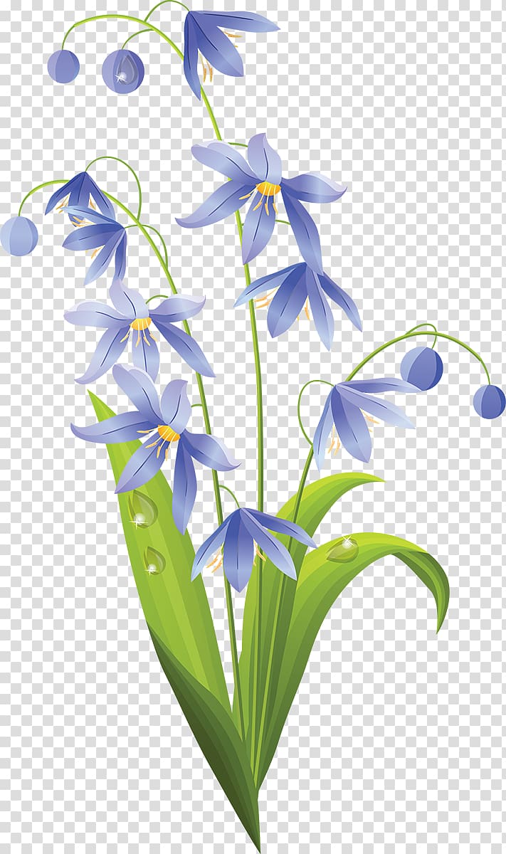 Easter lily Flower, snowdrop transparent background PNG clipart
