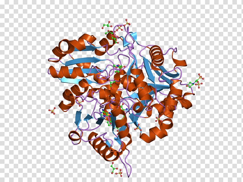 BolA-like protein family DNA-binding domain Protein structure Protein Data Bank, ebi transparent background PNG clipart