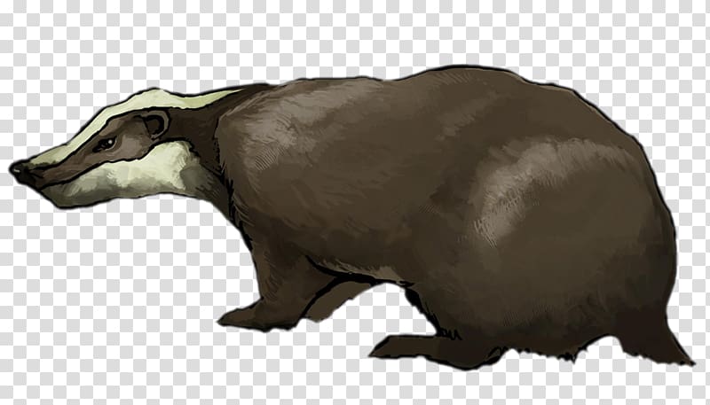 European badger , others transparent background PNG clipart