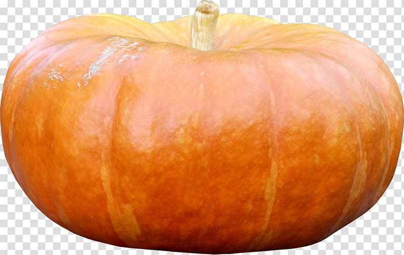 Cucurbita Pumpkin Gourd Vegetable Winter squash, pumpkin transparent background PNG clipart
